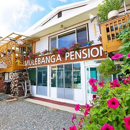 Osakae Anteo Mulraebang-A Pension Jangjang Exteriér fotografie